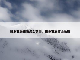 盟重英雄宠物怎么获得，盟重英雄打金攻略