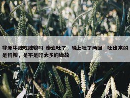 非洲牛蛙吃蛙粮吗-泰迪吐了，晚上吐了两回，吐出来的是狗粮，是不是吃太多的缘故