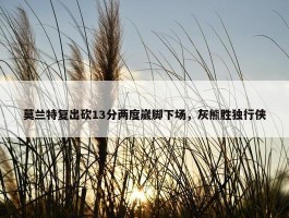 莫兰特复出砍13分两度崴脚下场，灰熊胜独行侠