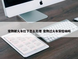 宠物被火车拦下怎么处理 宠物过火车安检响吗