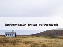 美国加州州长否决AI安全法案 寻求全面监管框架