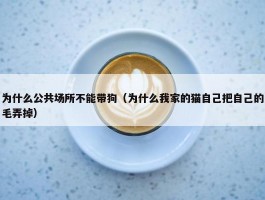 为什么公共场所不能带狗（为什么我家的猫自己把自己的毛弄掉）