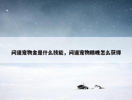 问道宠物金是什么技能，问道宠物精魄怎么获得