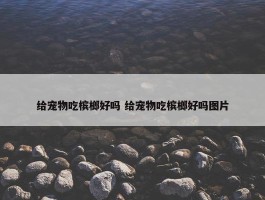 给宠物吃槟榔好吗 给宠物吃槟榔好吗图片