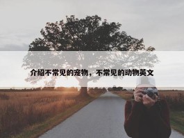 介绍不常见的宠物，不常见的动物英文