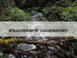 华为2020芯片排行榜（2021华为芯片排行）