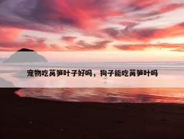 宠物吃莴笋叶子好吗，狗子能吃莴笋叶吗