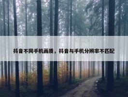 抖音不同手机画质，抖音与手机分辨率不匹配