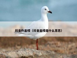 抖音咋盖楼（抖音盖楼是什么意思）