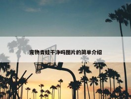 宠物青蛙干净吗图片的简单介绍