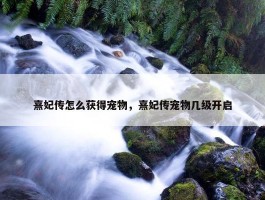 熹妃传怎么获得宠物，熹妃传宠物几级开启