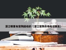 湛江哪里有宠物回收的（湛江宠物市场电话联系）