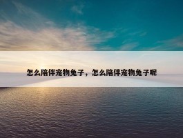 怎么陪伴宠物兔子，怎么陪伴宠物兔子呢