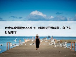 六大车企围殴Model Y！特斯拉还没吭声，自己先打起来了