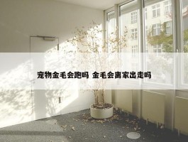 宠物金毛会跑吗 金毛会离家出走吗