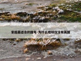 家庭最适合的国龟-为什么地球仪没有英国