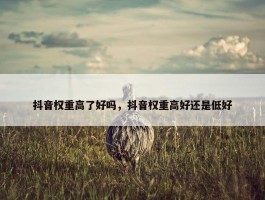 抖音权重高了好吗，抖音权重高好还是低好