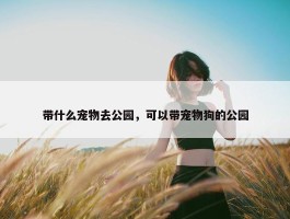 带什么宠物去公园，可以带宠物狗的公园