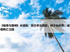 《暗夜与黎明》大结局：郑兰亭没想到，林少白的死，成他败亡之因