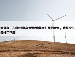 彼得森：在拜仁踢球时我就像鲨鱼缸里的金鱼，我至今仍是拜仁球迷