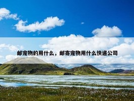 邮宠物的用什么，邮寄宠物用什么快递公司