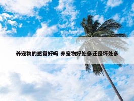 养宠物的感觉好吗 养宠物好处多还是坏处多