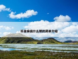 抖音麻袋什么梗的简单介绍