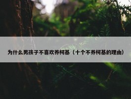 为什么男孩子不喜欢养柯基（十个不养柯基的理由）