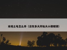 本地土龟怎么养（古牧多大开始大小便规律）