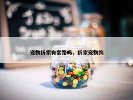 宠物拆家有套路吗，拆家宠物狗