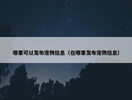 哪里可以发布宠物信息（在哪里发布宠物信息）