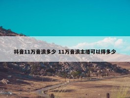 抖音11万音浪多少 11万音浪主播可以得多少