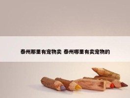 泰州那里有宠物卖 泰州哪里有卖宠物的