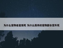 为什么宠物老是饿死 为什么我养的宠物都会意外死