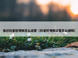 宿迁抖音短视频怎么运营（抖音短视频运营怎么赚钱）