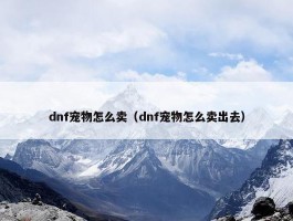 dnf宠物怎么卖（dnf宠物怎么卖出去）