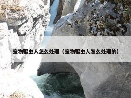 宠物驱虫人怎么处理（宠物驱虫人怎么处理的）