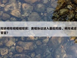 陈妍希陈晓婚姻现状：离婚协议进入最后阶段，明年或迎官宣？