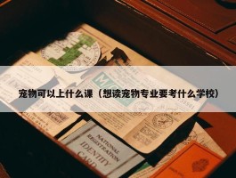 宠物可以上什么课（想读宠物专业要考什么学校）