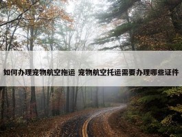 如何办理宠物航空拖运 宠物航空托运需要办理哪些证件