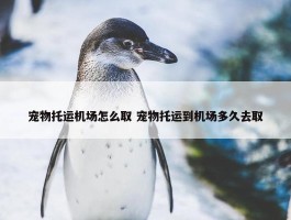 宠物托运机场怎么取 宠物托运到机场多久去取