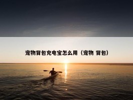 宠物背包充电宝怎么用（宠物 背包）