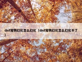 dnf宠物幻化怎么幻化（dnf宠物幻化怎么幻化不了）