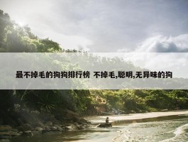 最不掉毛的狗狗排行榜 不掉毛,聪明,无异味的狗