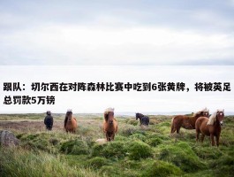 跟队：切尔西在对阵森林比赛中吃到6张黄牌，将被英足总罚款5万镑