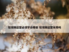 短视频运营必须学会哪些 短视频运营有用吗