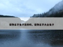 宠物名字兔子吉利吗，宠物名字大全兔子