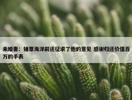 未婚妻：锤覃海洋前还征求了他的意见 感谢归还价值百万的手表