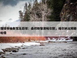 懂球帝抽象馆五孬球：桑切斯智激帕尔默，维尔纳义释滕哈格