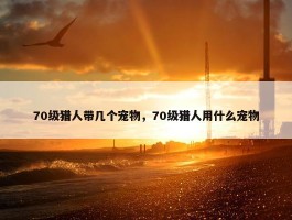 70级猎人带几个宠物，70级猎人用什么宠物